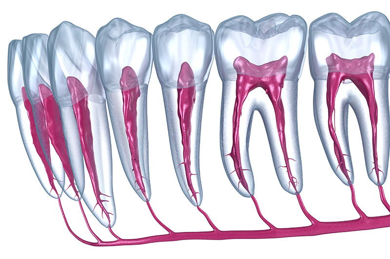 Wurzelspitzenentfernung Oralchirurgie Zahnarzt Entlebuch Hasle